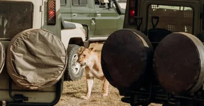 Group & Corporate Travel