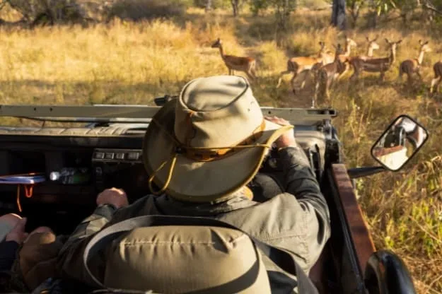 Immigration Consultant